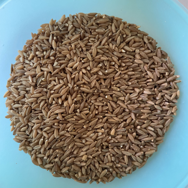 Bamboo Rice (Moongil Rice)