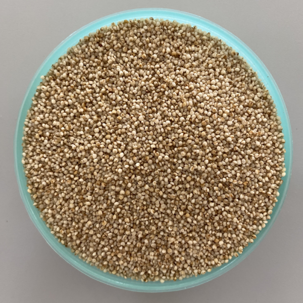 Barnyard Millet (kuthiraivali)
