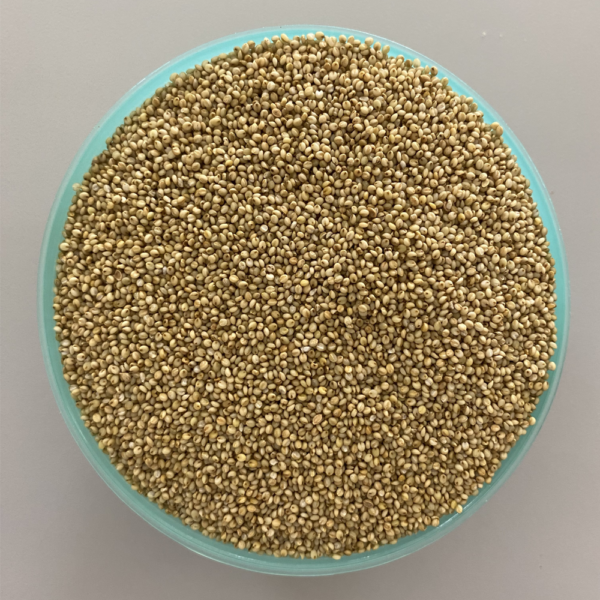 Brown Top Millet (Kulasamai)