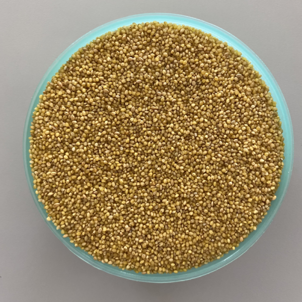 Foxtail Millet (Thinai)